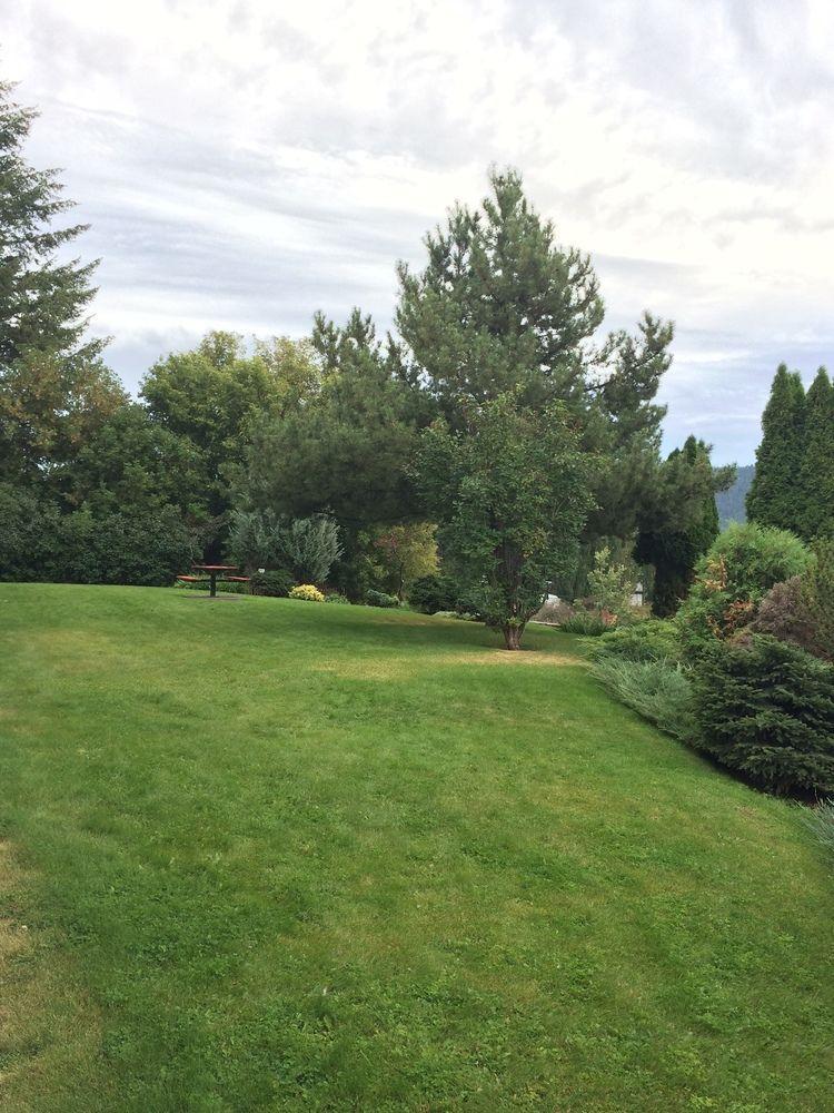 Drummond Lodge Williams Lake Dış mekan fotoğraf