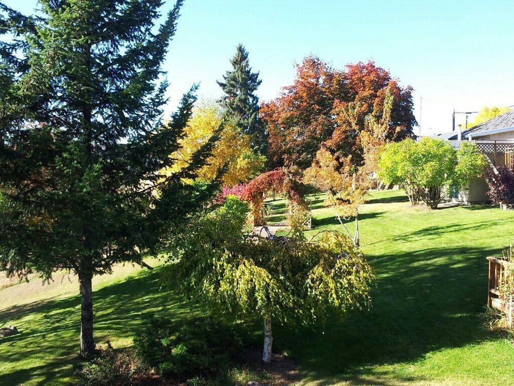 Drummond Lodge Williams Lake Dış mekan fotoğraf